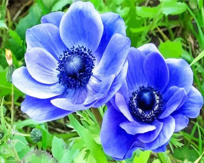 Blue Anemone Diamond Painting Blue Anemone Diamond Painting