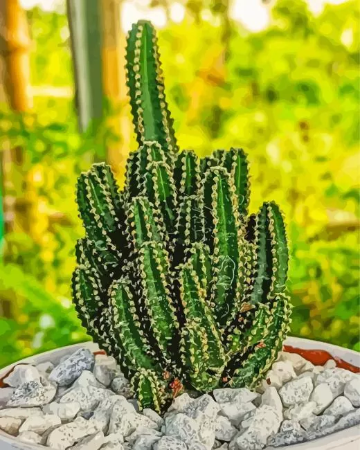 Triangle Cactus Diamond Painting Triangle Cactus Diamond Painting