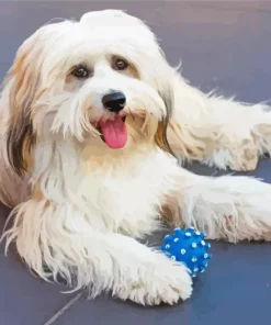 White Tibetan Terrier Diamond Painting
