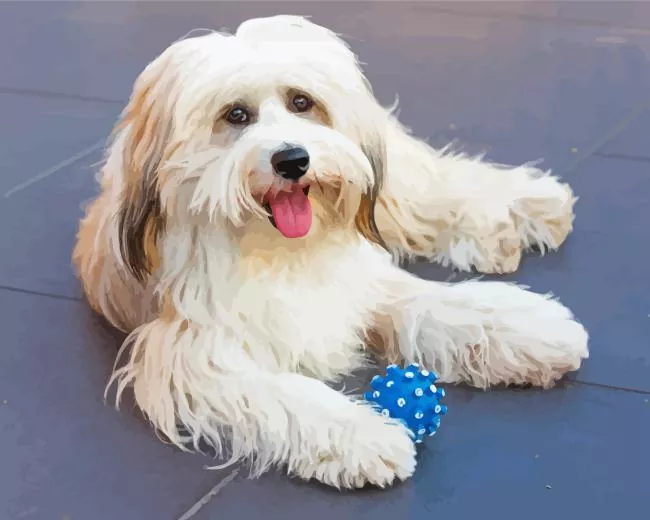 White Tibetan Terrier Diamond Painting White Tibetan Terrier Diamond Painting