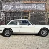 White Triumph Stag Diamond Painting