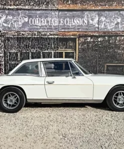 White Triumph Stag Diamond Painting